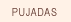 PUJADAS